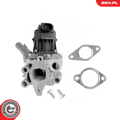 Imagen de Válvula EGR ESEN SKV 14SKV312