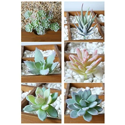 Imagen de Plantas Suculentas Artificiales,6 Mini Falsas de Imitación Verde Ornamentos Xactus para Decoración Oficina Hogar