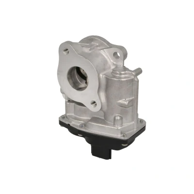 Imagen de DELPHI EG10747 12B1 Válvula EGR eléctrico