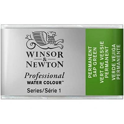 Imagen de Winsor &amp; Newton Acuarela Profesional Pintura de Acuarela, Alta Luminosidad, Resistente a la Luz, Calidad Archivo, Godet, Color Verde Vejiga Permanente