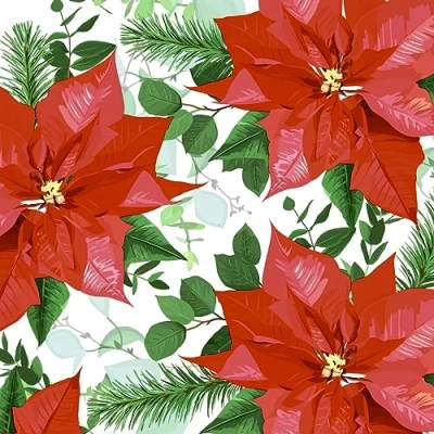 Imagen de Servilletas de papel con diseño flores navideñas, 20 unidades, flor Navidad, 24 x cm