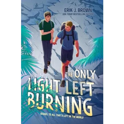 Imagen de The Only Light Left Burning (ebook)