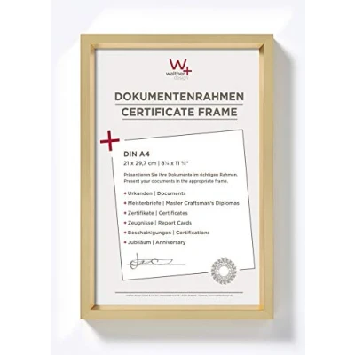 Imagen de Walther Design ES130G Steel Style, Marco De Plástico, 21x29.7 cm, Oro