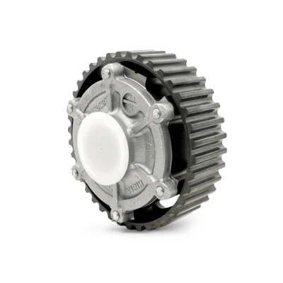 Imagen de Ajustador árbol de levas Dr.Motor Automotive DRM02486