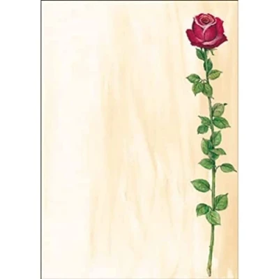 Imagen de SIGEL DP695 Papel de cartas, 21 x 29,7 cm, 90g/m², una rosa roja, y verde, 25 hojas