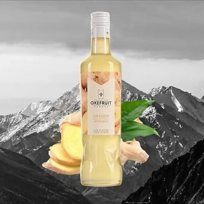 Imagen de Sirope de para cocteles OXEFRUIT (Jengibre)
