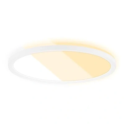 Imagen de Briloner Panel LED 7555 Color de la luz ajustable, Ø 29,3 cm