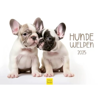 Imagen de Edition Seidel calendario premium para perros, cachorros, 2025, formato DIN A3, de pared, animales, razas perros y mascotas