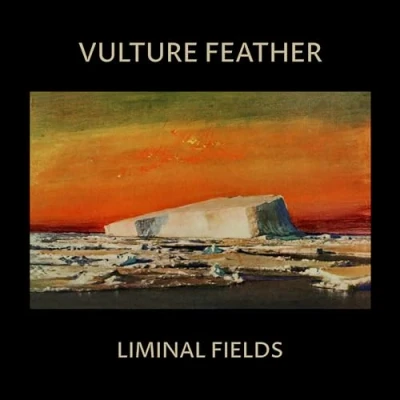 Imagen de Liminal Fields Vinyle Couleur Os [Vinilo]