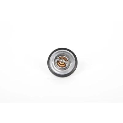 Imagen de Termostato, refrigerante CONTINENTAL 28.0200 4129.2