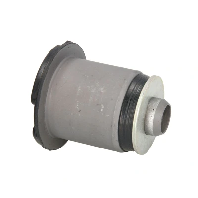 Imagen de REINHOCH RH11 2162 Suspensión, soporte del eje izquierda, derecha, posterior RENAULT: TRAFIC 2 Kasten, Bus