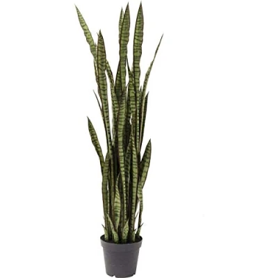 Imagen de Kare Planta Decorativa Sansewieria, Verde, 155 x 35 cm