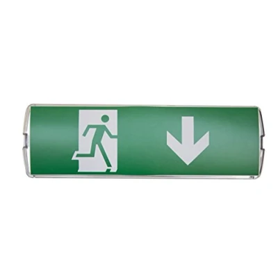 Imagen de Lámpara LED de emergencia, salida camino escape