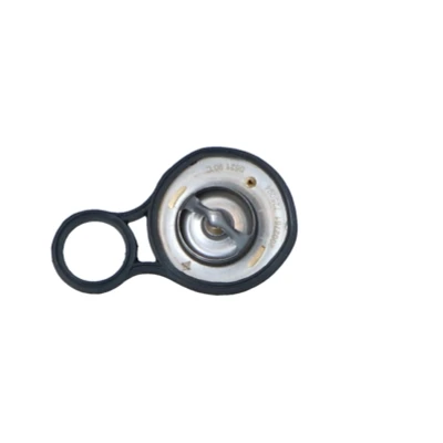 Imagen de NRF 725094 Termostato, refrigerante 91 con junta anular sin carcasa (cárter) MINI: Hatchback, Cabrio, CHRYSLER: PT Cruiser Familiar