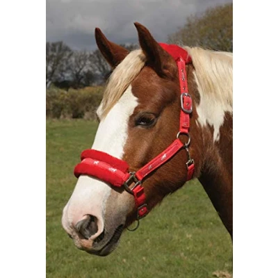 Imagen de Rhinegold Logo Headcollar Fleece Trim Shetland Red Cuello de Cabeza, Unisex Adulto, Rojo