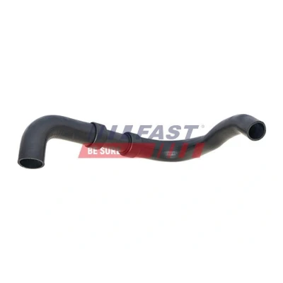 Imagen de Tubo flexible de aire sobrealimentación FAST FT61769