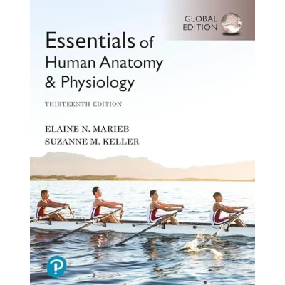 Imagen de Essentials Of Human Anatomy &amp; Physiology Global Edition