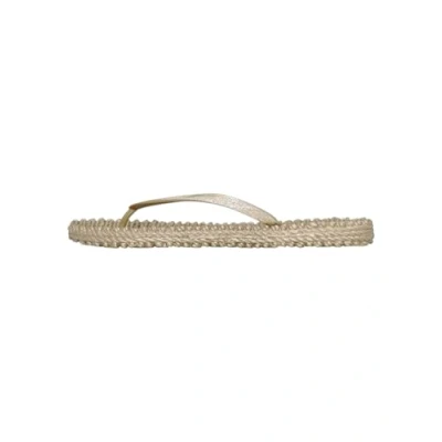 Imagen de Ilse Jacobsen CHEERFUL01 Chanclas de dedo, Mujer, Talla: 38, Platin Zapatos