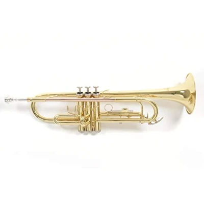 Imagen de Roy Benson Trompeta Sib TR 101 (Diseñada profesionalmente con calibre ML, tudel de latón dorado, estuche rectangular ligero incluido, juego mochilas)