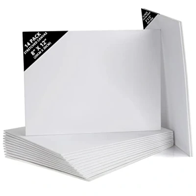Imagen de Belle Vous Pack de 14 Lienzos para Pintar en Blanco 20 x 30 cm Set Panel Lienzo Preestirado Aptos Pintura Acrílica y al Óleo Bocetos Dibujos