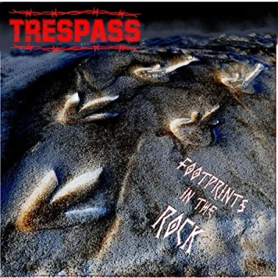 Imagen de Footprints In The Rock Vinilo