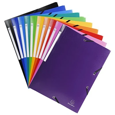 Imagen de Exacompta 55800E Pack de 25 carpetas con goma, multicolor