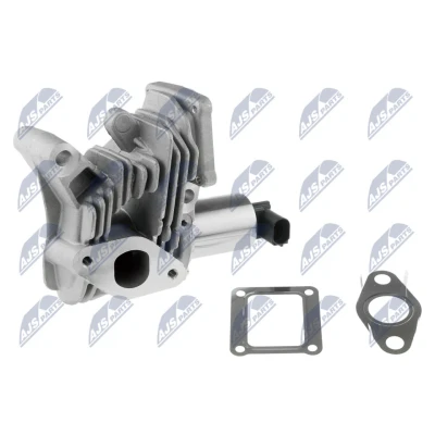 Imagen de NTY EGR RE 006 Válvula eléctrico sin radiator RENAULT: SCENIC 2, MEGANE LAGUNA 2