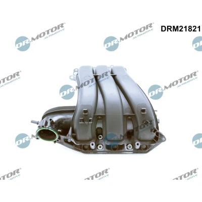 Imagen de DR.MOTOR AUTOMOTIVE DRM21821 Colectores de Admisión con juntas SEAT: Ibiza 4, VOLKSWAGEN: Polo V Hatchback