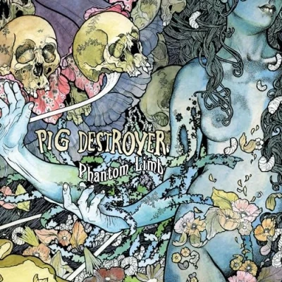 Imagen de Phantom limb [Vinilo]