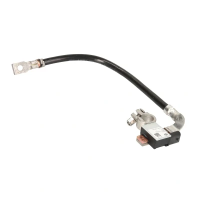 Imagen de HELLA 6PK 010 562 911 Sensor, control de batería BMW: 3 Berlina, 5 Coupé