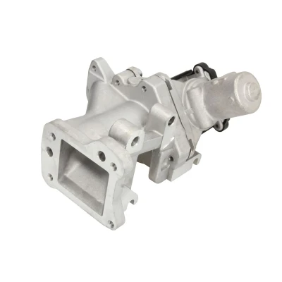 Imagen de DELPHI EG10437 12B1 Válvula EGR FORD: MONDEO 4 Stufenheck, S Max Mk1, 4, CITROËN: C5 3, C Crosser SUV, II Hatchback, PEUGEOT: 407 Berlina