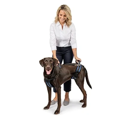 Imagen de PetSafe Carelift, Arnés de Soporte Cuerpo Completo con Asa, para Perros Enfermos o Mayores, Transpirable y Cómodo, Ajuste Fácil, Talla L, Perro Grande