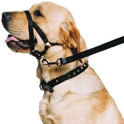 Imagen de Ancol Ronzal de Entrenamiento para Perro
