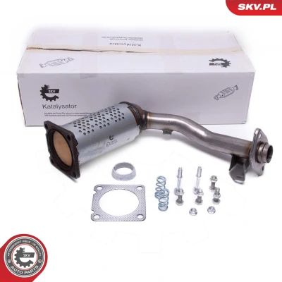 Imagen de Convertidor catalítico ESEN SKV 62SKV016
