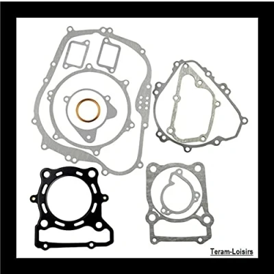 Imagen de TERAM LOISIRS Juego de Juntas Motor Completo compatible para Kawasaki KLX 300 Desde 1997A 2007 Nuevo Francia
