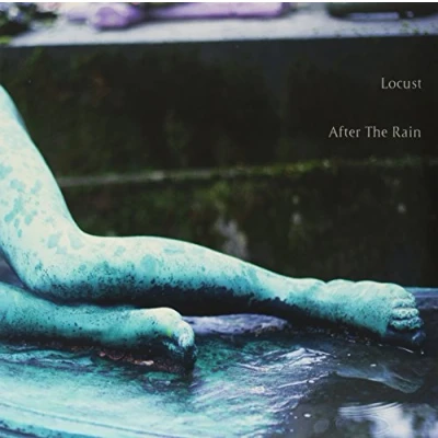 Imagen de After The Rain (vinilo)