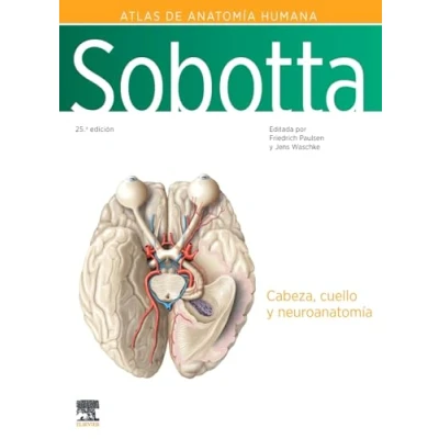 Imagen de Sobotta. Atlas de anatomía humana. Vol 3: Cabeza, cuello y neuroanatomía
