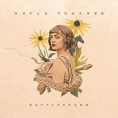 Imagen de Rattlesnake Vinilo