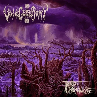 Imagen de Threads Of Unknowing [Vinilo]