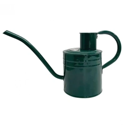 Imagen de Kent &amp; Stowe regadera para Interiores y Exteriores de 2 L, Color Verde Bosque, galvanizada Resistente al óxido con Mango Boquilla Larga, Herramientas clásicas jardín Todo el año,