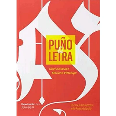 Imagen de PUÑO y LETRA: Un cruce interdisciplinario entre poder caligrafía (SIN COLECCION)