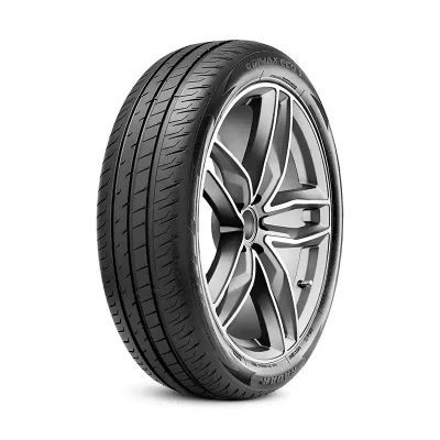 Imagen de Radar Dimax ECO 195/55 R20 95H coche de turismo Neumáticos verano RENAULT: Scénic IV, GRAND SCENIC 4 RASYCN0130