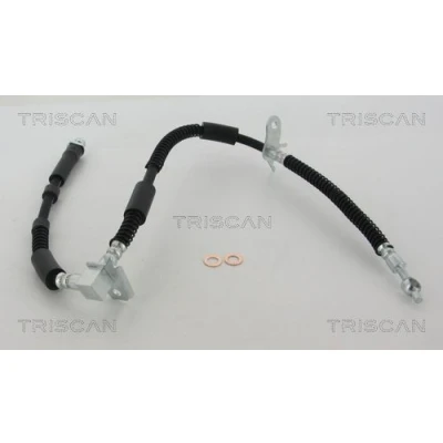 Imagen de TRISCAN 8150 17304 Latiguillos de Freno 595/330 F10x1