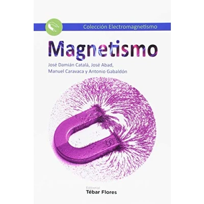 Imagen de MAGNETISMO (Colección Electromagnetismo)