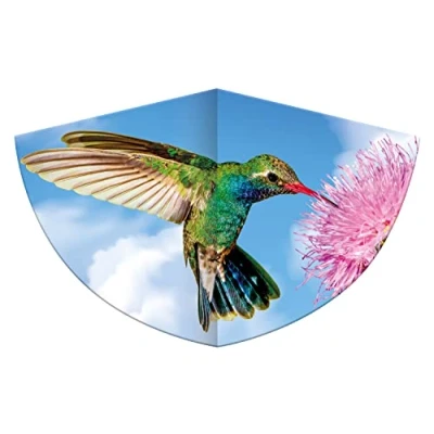 Imagen de GÜNTHER FLUGSPIELE Paul 1178 Cometa infantil con diseño de colibrí, insertada lámina polietileno resistente báscula dragón ajustable, para niños a partir 4 años, asa y cuerda, aprox.