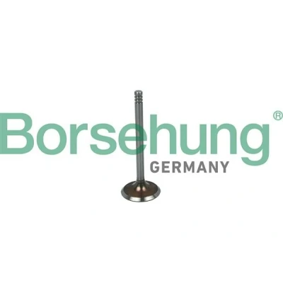 Imagen de Válvula de admisión Borsehung B19016