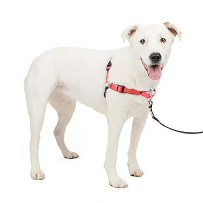 Imagen de PetSafe Lujo para Perros Arnés Deluxe Easy Walk, Mediano, Azul, Nailon, Ocean/Black, M