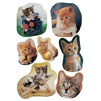Imagen de HERMA 5747 Pegatinas de animales, gatitos fotógenos (21 pegatinas, papel mate), autoadhesivas, permanentes, diseño fotográficos, multicolor