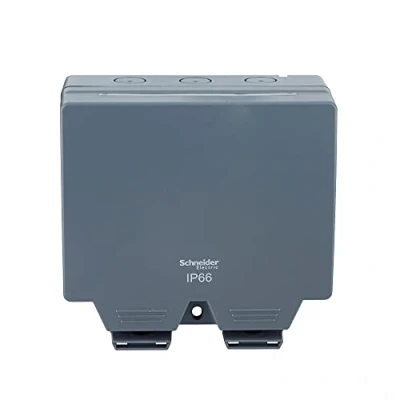 Imagen de Schneider Electric Lisse LWP3020, resistente a la intemperie, enchufe conmutado, IP66, 2 bandas, 13A 250V, gris