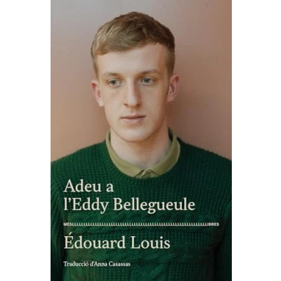 Imagen de Adeu A L&#039;eddy Bellegueule: 49 (Ficció)